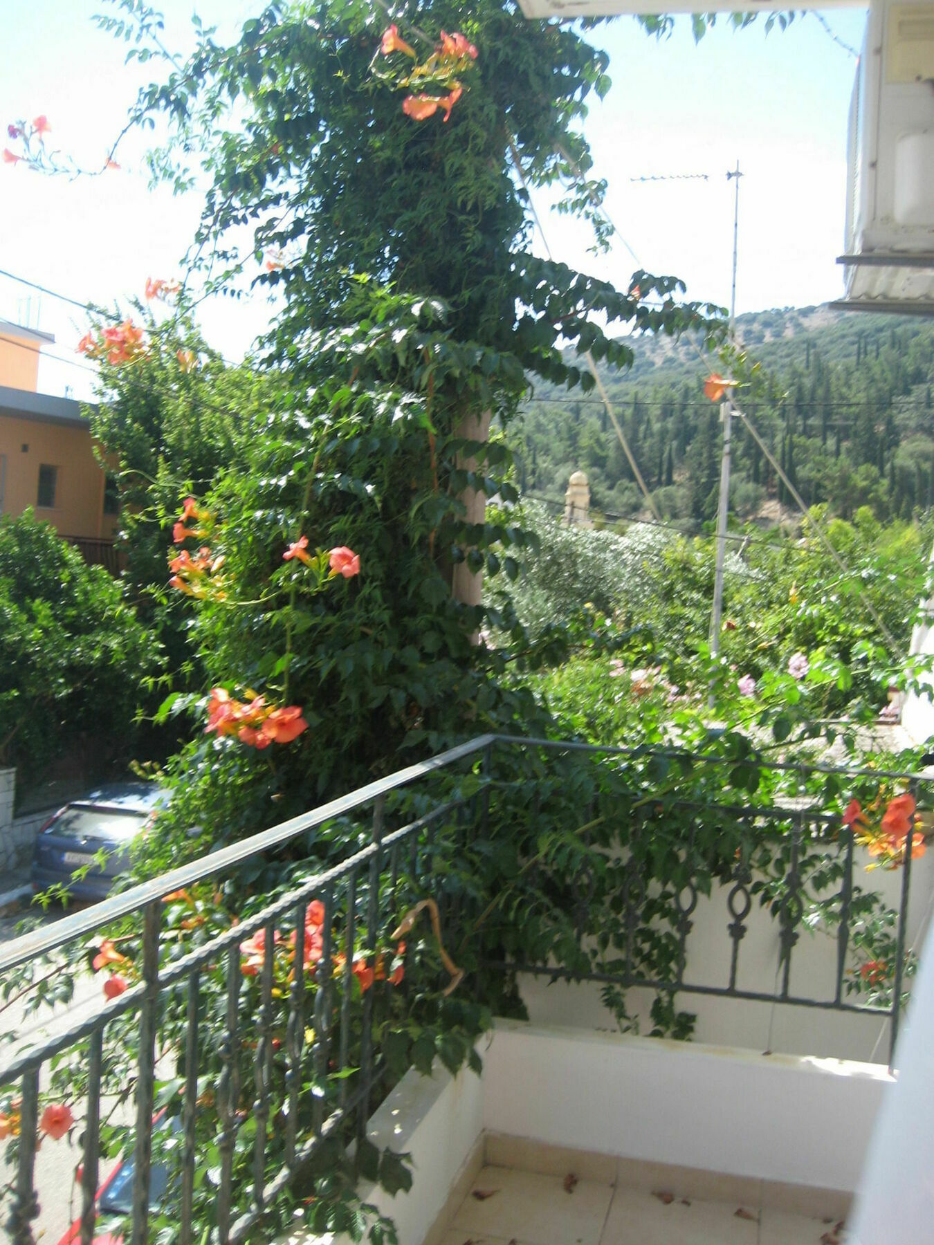 Giannos Apartments Agia Efimia Exterior photo